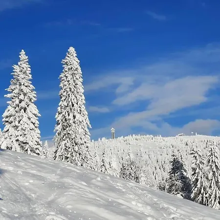 Διαμέρισμα Ferienwohnung-einklang Im Schoenen Suedschwarzwald *
